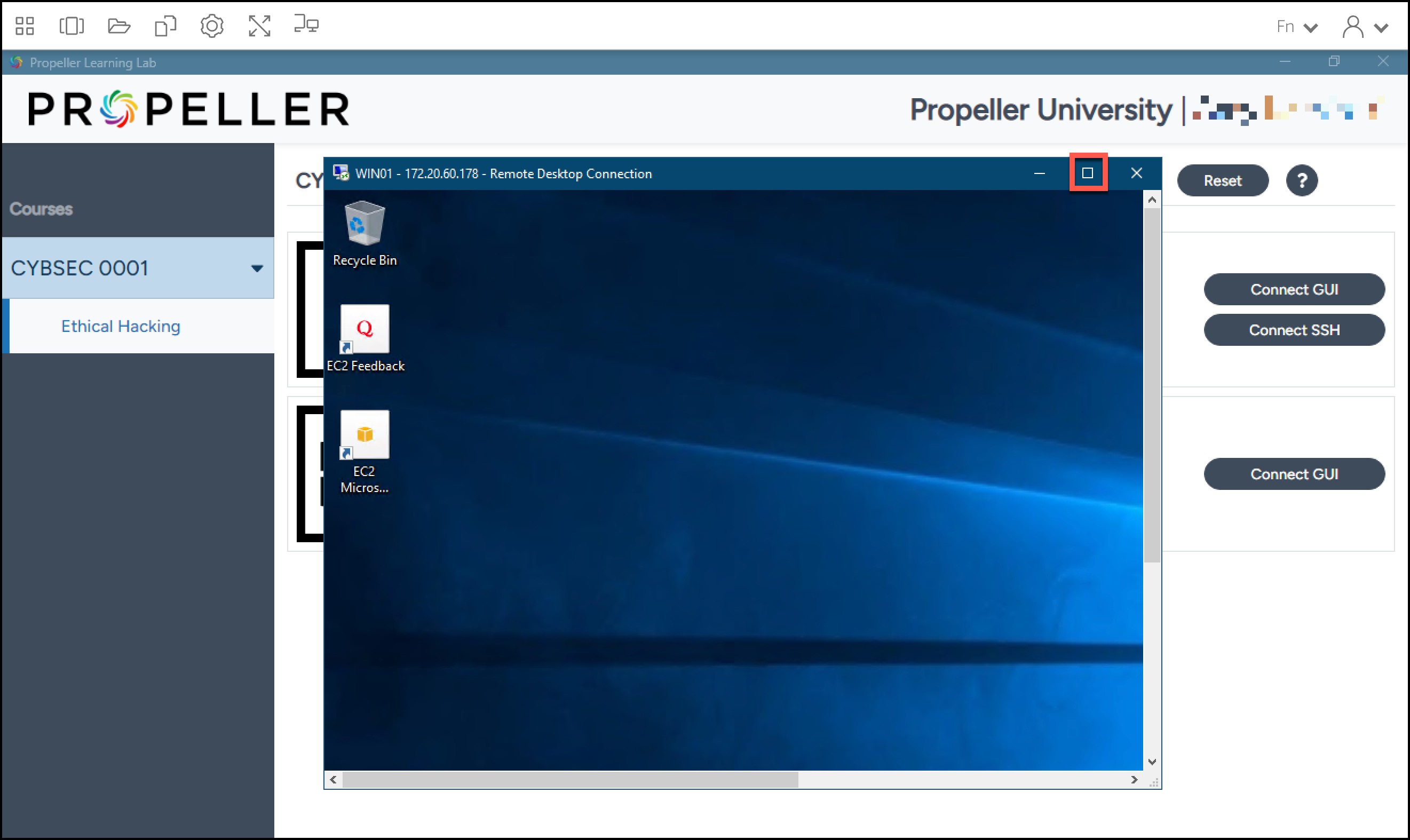 Minimize